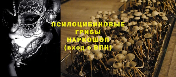стафф Михайловка