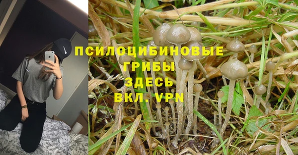 ALPHA-PVP Медвежьегорск