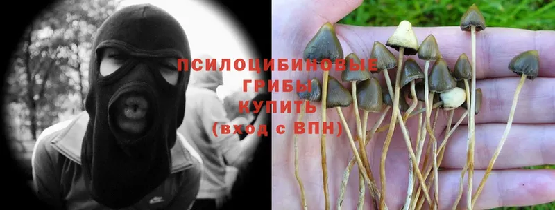 Галлюциногенные грибы MAGIC MUSHROOMS  Нефтегорск 